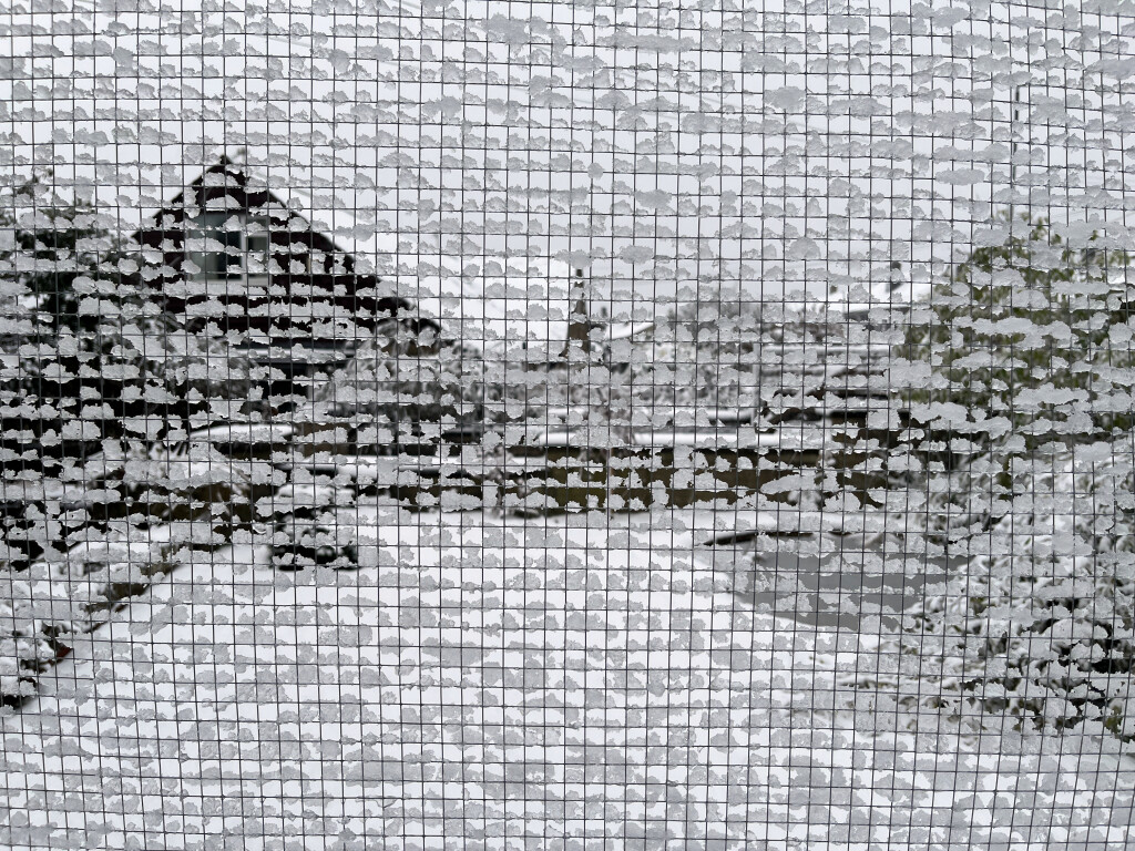 Snow on Chicken Wire 1